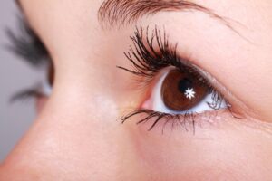 woman, beauty, eyelashes, eye, makeup, mascara, beautiful, female, girl, closeup, eye, eye, eye, eye, eye