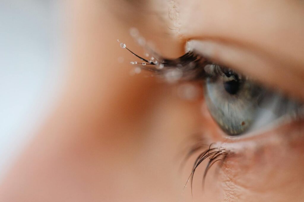 Close-up macro photograph of a blue eye with frosted eyelashes, reflecting a winter theme.