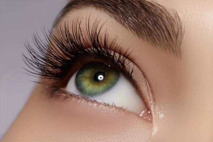 Close-up of a green eye with long curled eyelashes and natural makeup.
